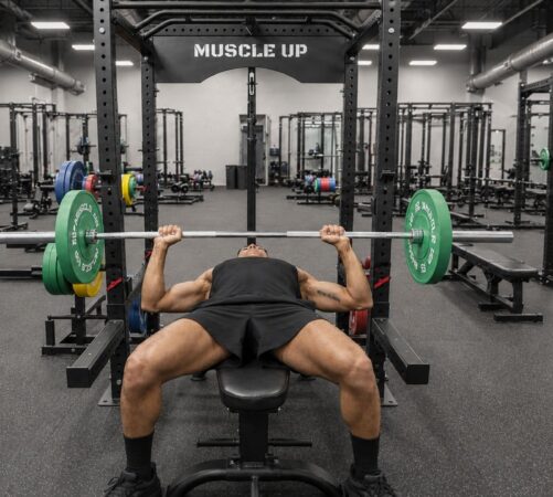 Muscle up | power racks